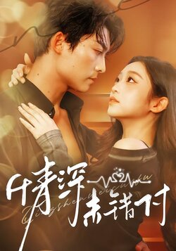 情深未错付封面图