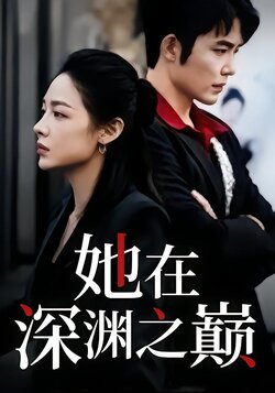 她在深渊之巅封面图