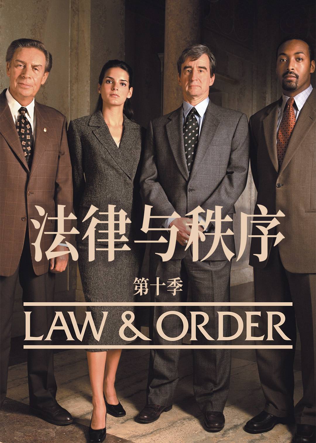 法律与秩序第十季封面图