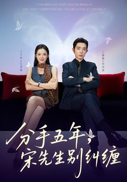 分手五年，宋先生别纠缠封面图