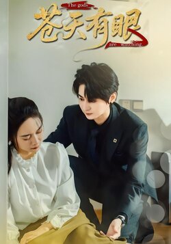 苍天有眼封面图