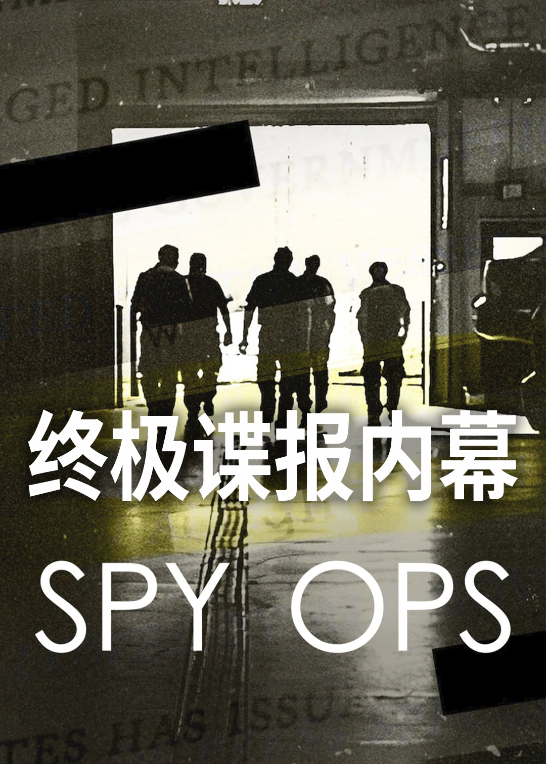 终极谍报内幕封面图