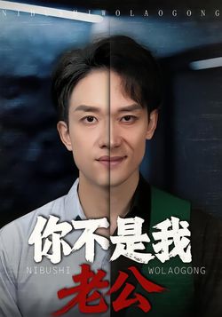 你不是我老公封面图