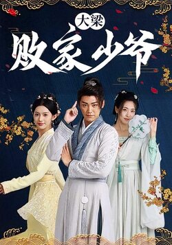 大梁败家少爷封面图