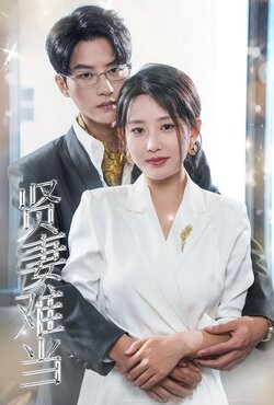 贤妻难当封面图