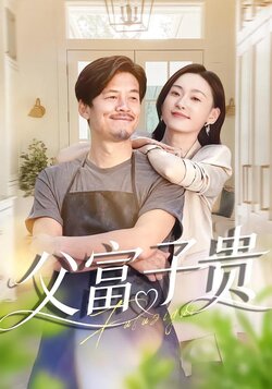 父富子贵封面图