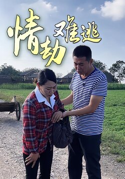 情劫难逃封面图