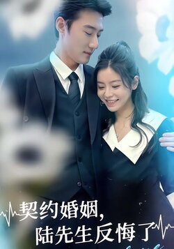 契约婚姻，陆先生反悔了封面图