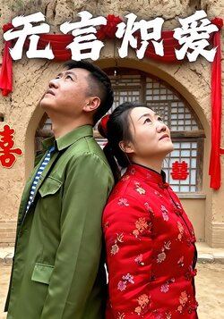 无言炽爱封面图