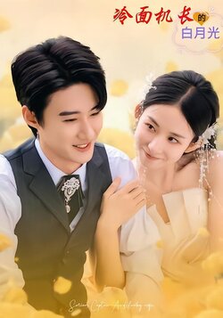 冷面机长的白月光封面图