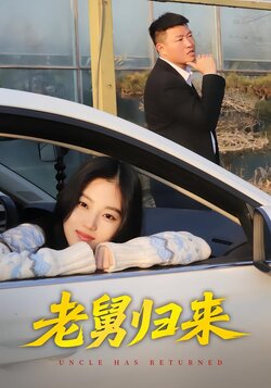 老舅归来封面图