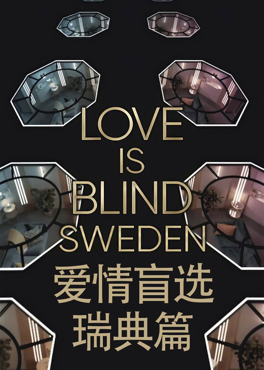 爱情盲选(瑞典篇)封面图