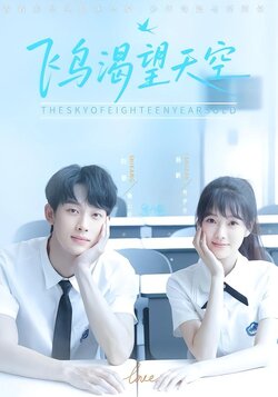 飞鸟渴望天空封面图