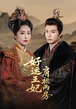 好运王妃肩祧两房封面图