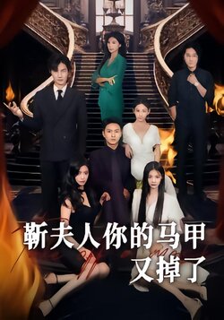 靳夫人 你的马甲又掉了封面图