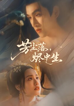 芳尘落，烬中生封面图