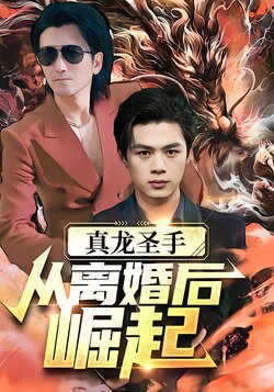 真龙圣手：从离婚后崛起封面图
