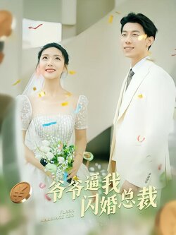 爷爷逼我闪婚总裁封面图