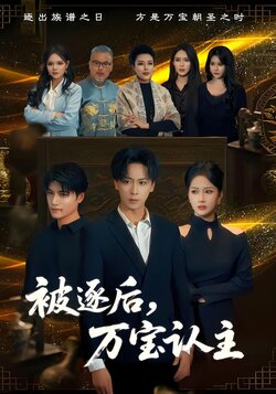 被逐后，万宝认主封面图