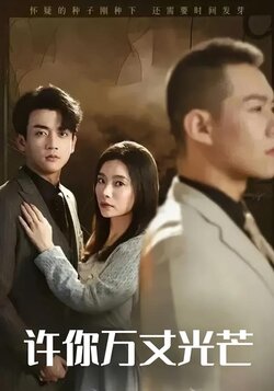 许你万丈光芒封面图