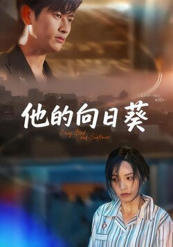 他的向日葵封面图