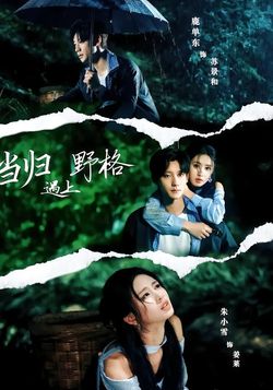 当归遇上野格封面图