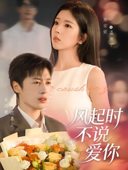 风起时不说爱你封面图