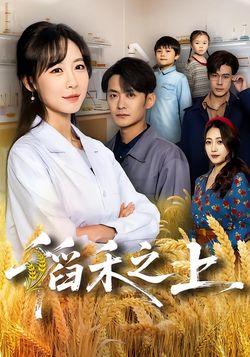 稻禾之上封面图