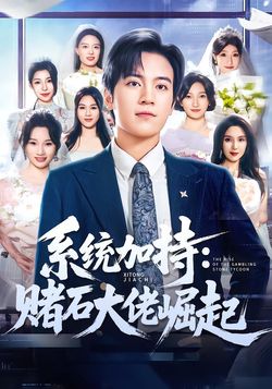 系统加持：赌石大佬崛起封面图