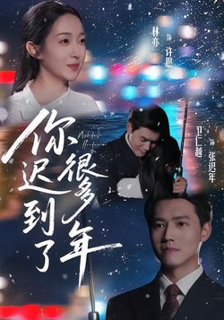 你迟到了很多年封面图