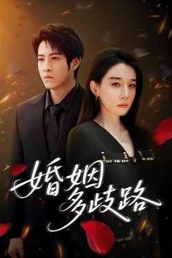 婚姻多歧路封面图