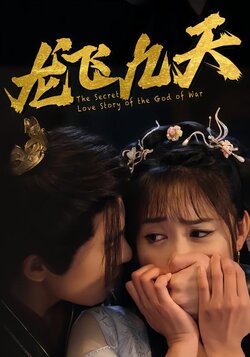 龙飞九天封面图