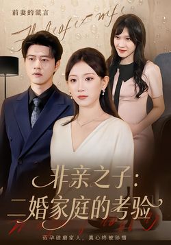 非亲之子：二婚家庭的考验封面图
