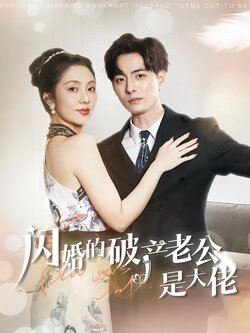 闪婚的破产老公是大佬封面图