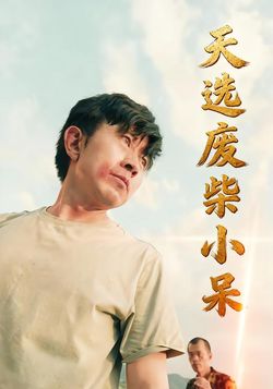 天选废柴小呆封面图