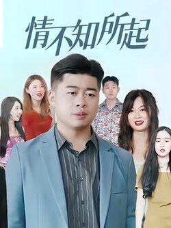 情不知所起封面图