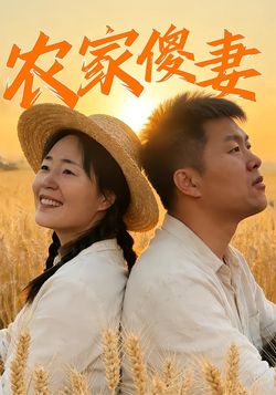 农家傻妻封面图
