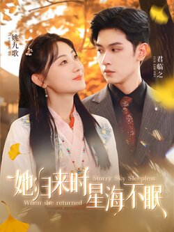 她归来时星海不眠封面图