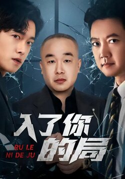 入了你的局封面图