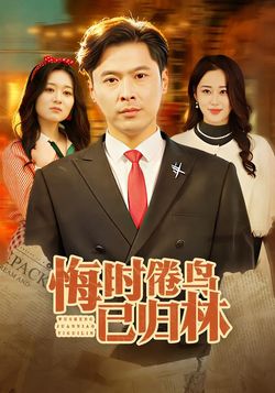 悔时倦鸟已归林封面图