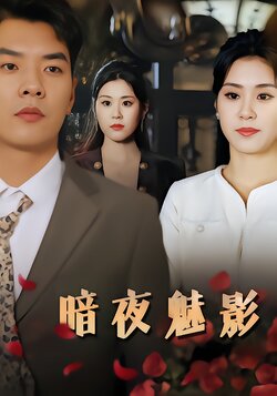 暗夜魅影封面图