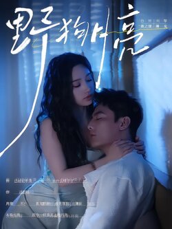 野狗月亮封面图