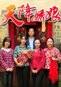 天降娇娘封面图