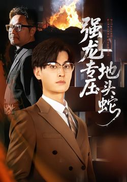 强龙专压地头蛇封面图