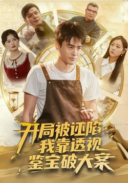 开局被诬陷，我靠透视鉴宝破大案封面图