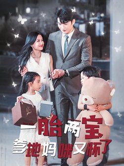 一胎两宝: 爹地妈咪又怀了封面图