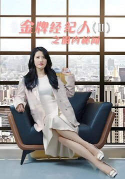 金牌经纪人2之圈内秘闻封面图