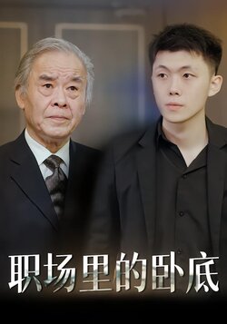 职场里的卧底封面图