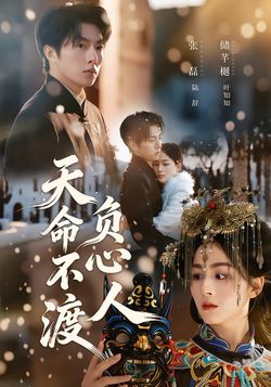 天命不渡负心人封面图