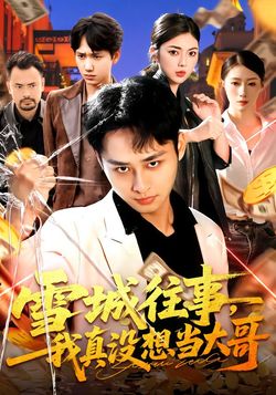 雪城往事，我真没想当大哥封面图